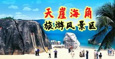 骚逼被大鸡巴操翻了海南三亚-天崖海角旅游风景区