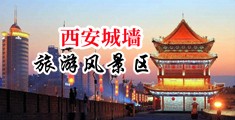 日日叉中国陕西-西安城墙旅游风景区