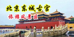 东北老女人被吸奶中国北京-东城古宫旅游风景区